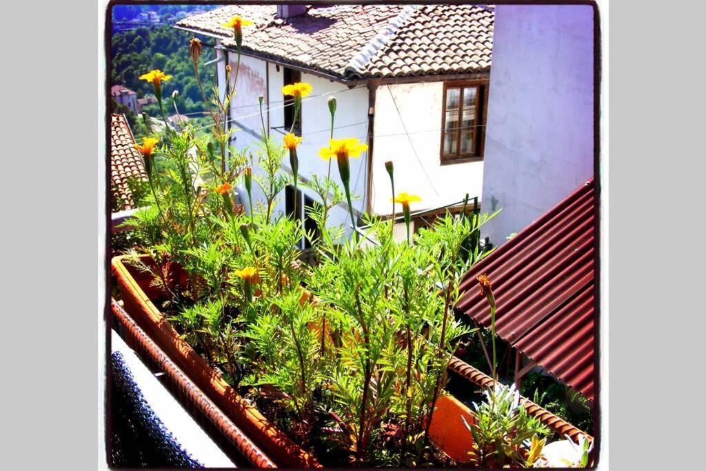 Authentic Guest Stay In The Heart Of Veliko Tarnovo Студио С Изглед Към Царевец Eksteriør bilde