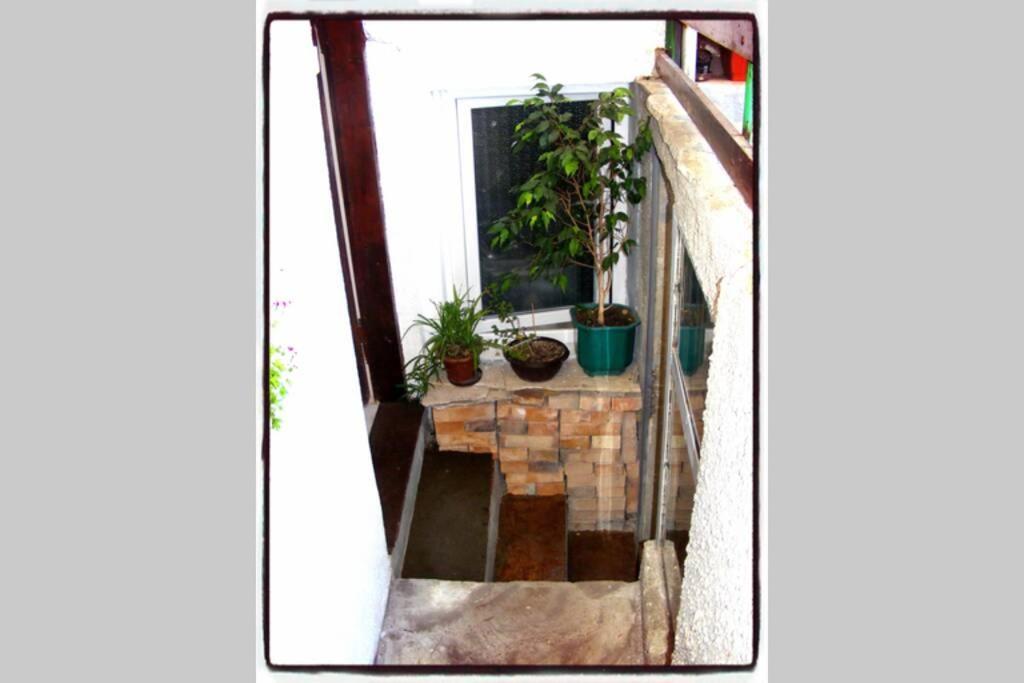 Authentic Guest Stay In The Heart Of Veliko Tarnovo Студио С Изглед Към Царевец Eksteriør bilde